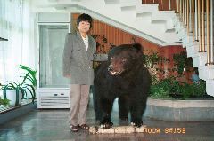 バイカルホテルロビーにある熊の剥製